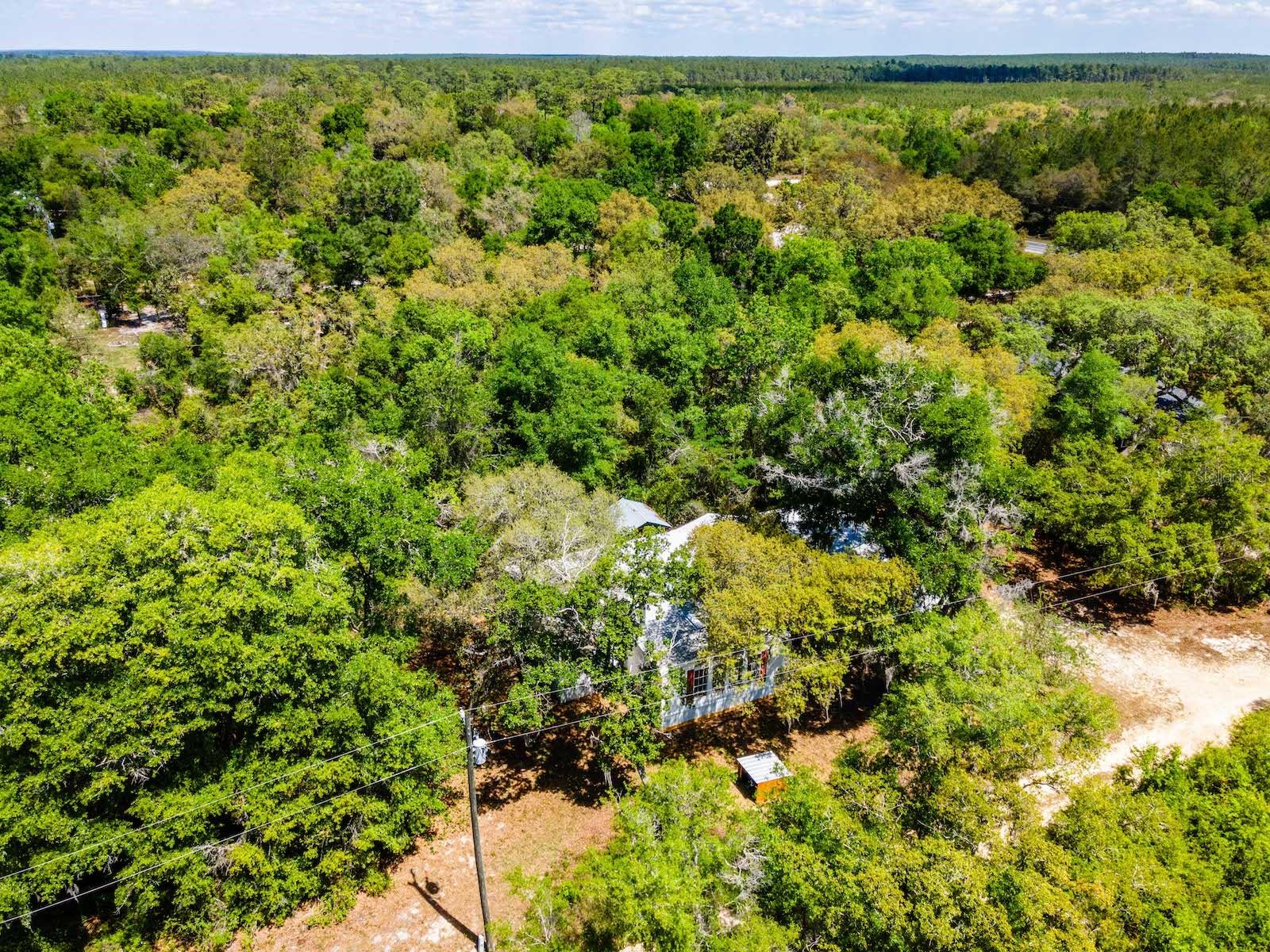 TOBACCO PATCH CAMPSITES - Residential
