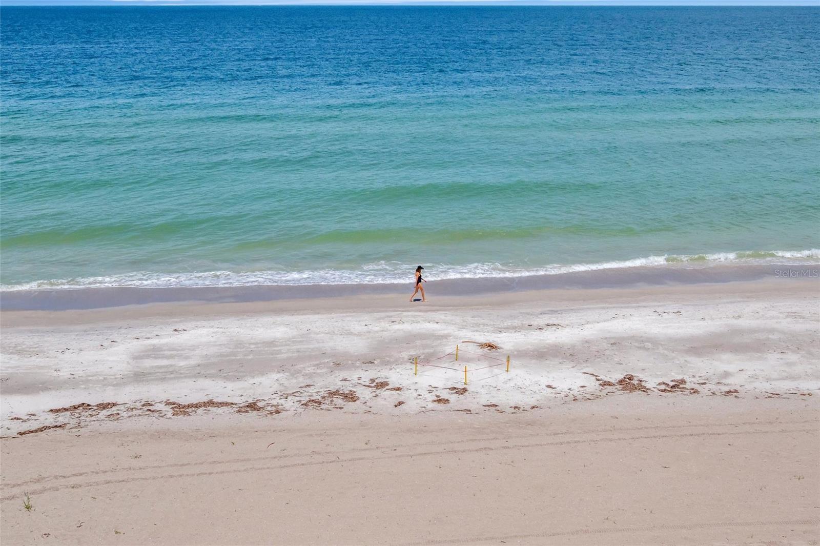 1586 GULF BOULEVARD 2401
