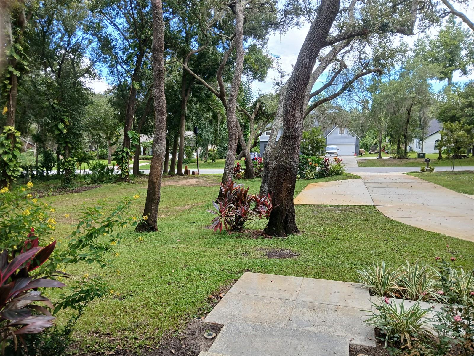 LAKE LOUISA OAKS - Residential