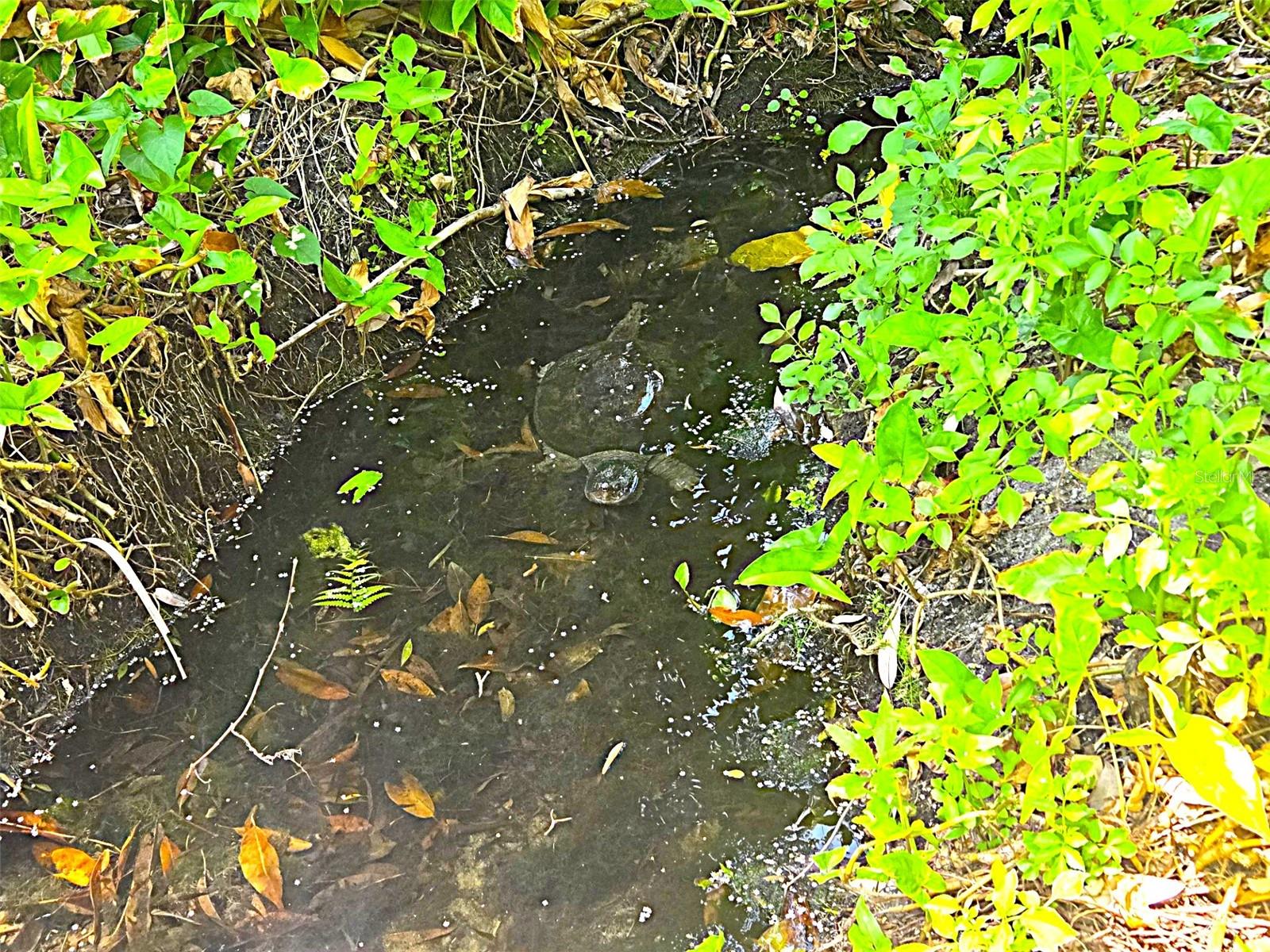 NEW ATLANTIS CLUB CONDO - Residential