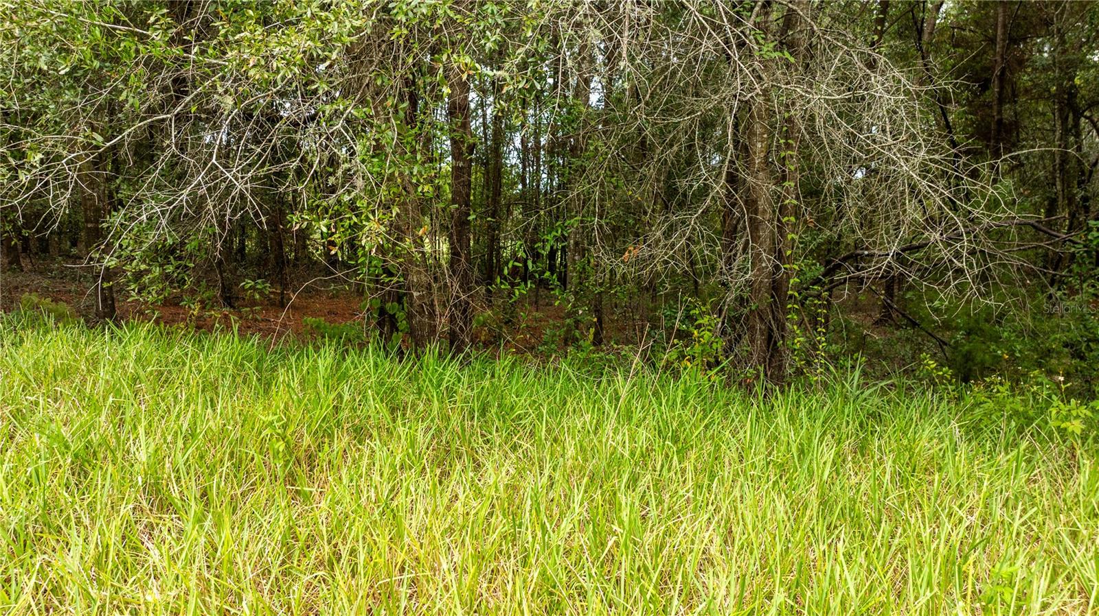 RAINBOW S END ESTATE - Land