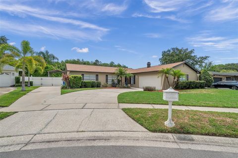 A home in TAMPA