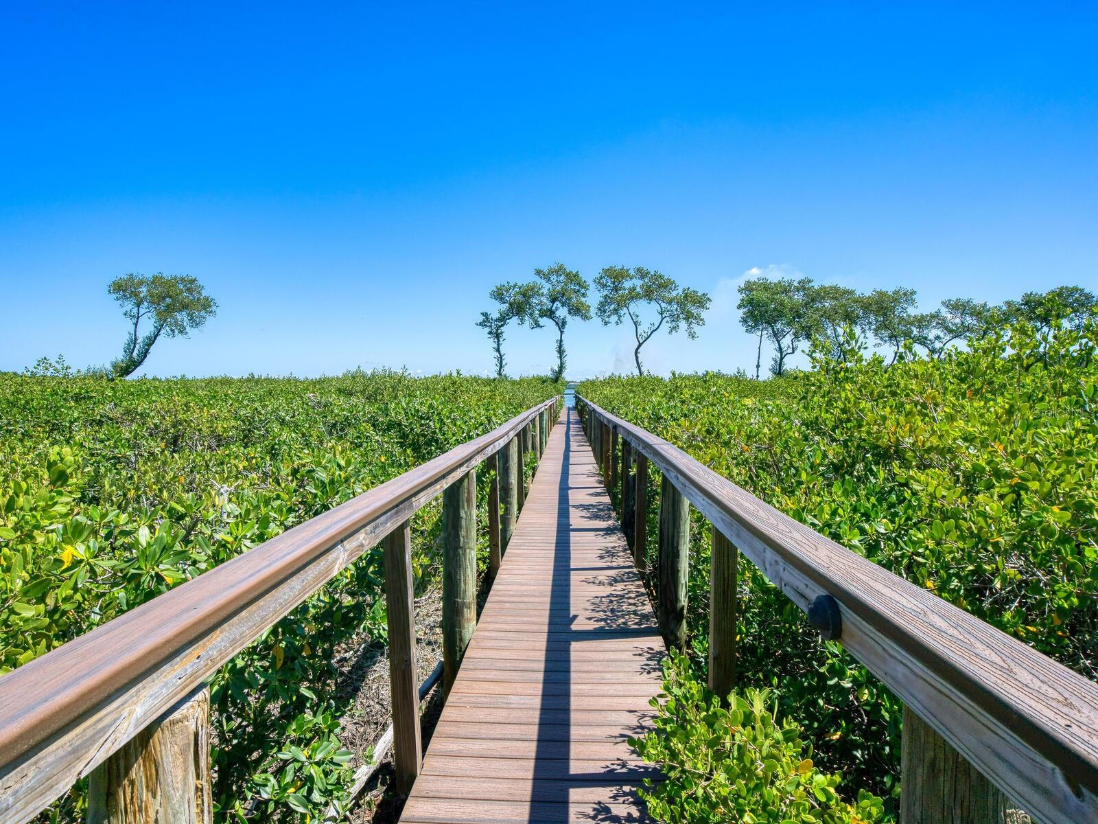 HARBOUR LANDINGS ESTATES - Residential