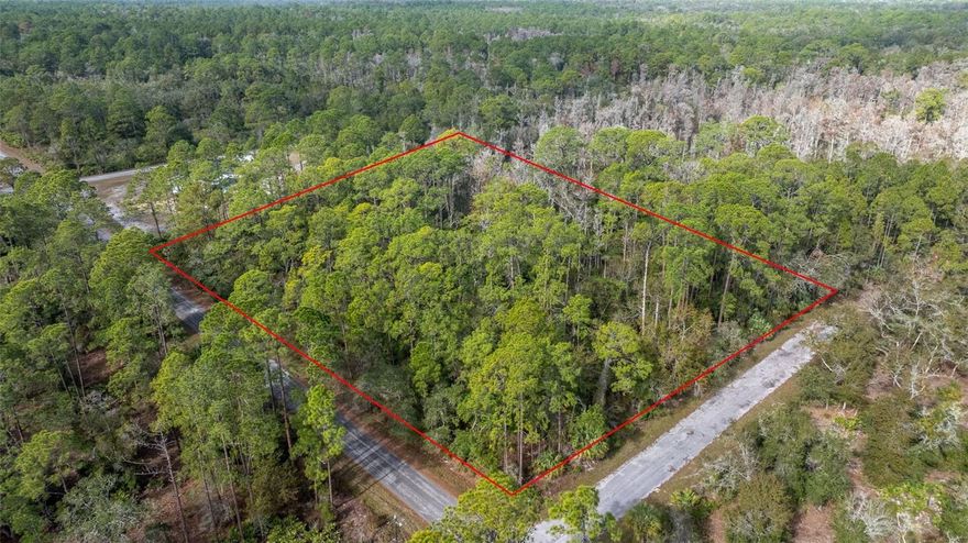 Build your dream home right here in Crystal River Florida! Look no further than this 2.67 acre corner lot in Crystal
Manor. With no HOA and paved roads. Crystal river and the surrounding areas have plenty of shopping, restaurants and
entertainment. Come and enjoy all of the limitless outdoor activities in Citrus County.