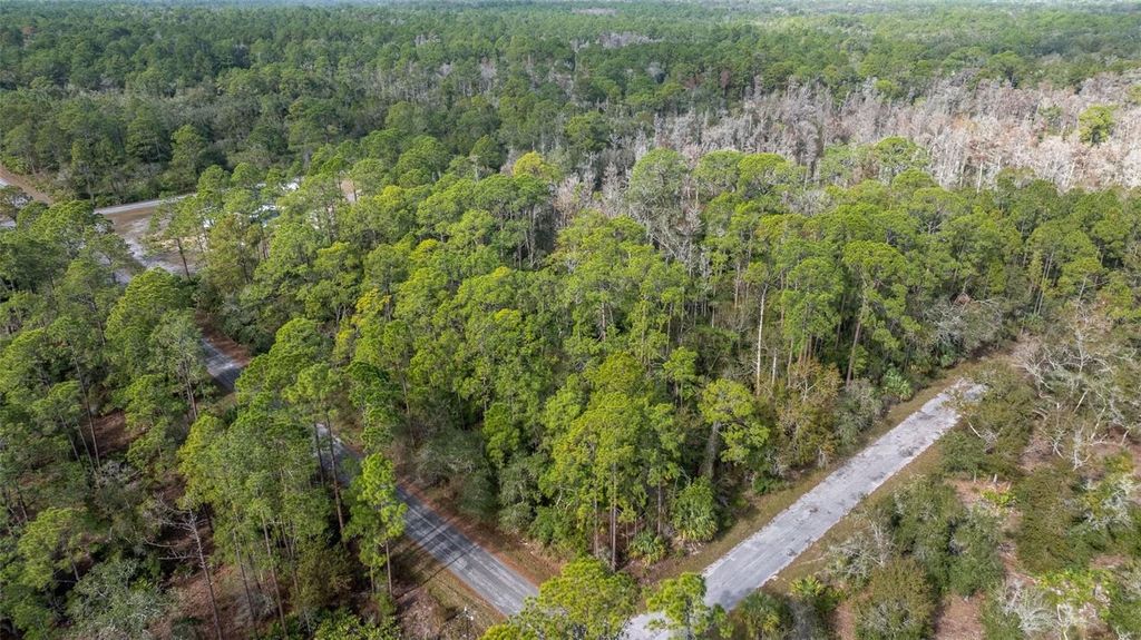 Photo of 11023 W Acacia Drive, Crystal River, FL 34428 (MLS # OM691614)