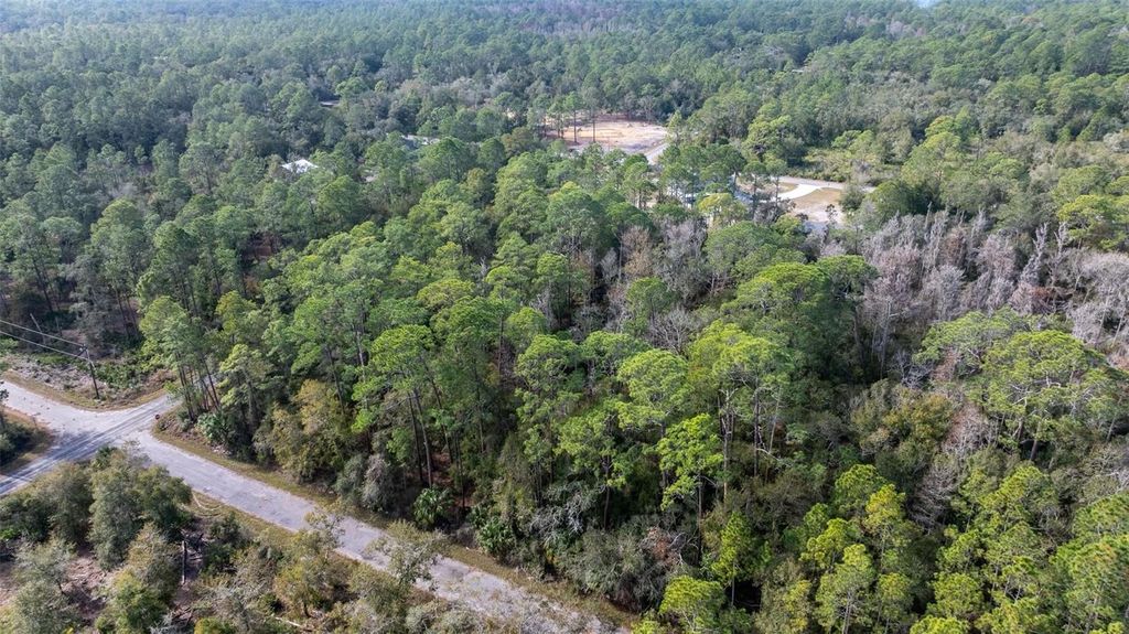 Photo of 11023 W Acacia Drive, Crystal River, FL 34428 (MLS # OM691614)