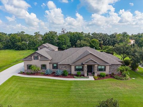 Photo of 408 Hawk Talon Drive, Lithia, FL 33547 (MLS # TB8533017)
