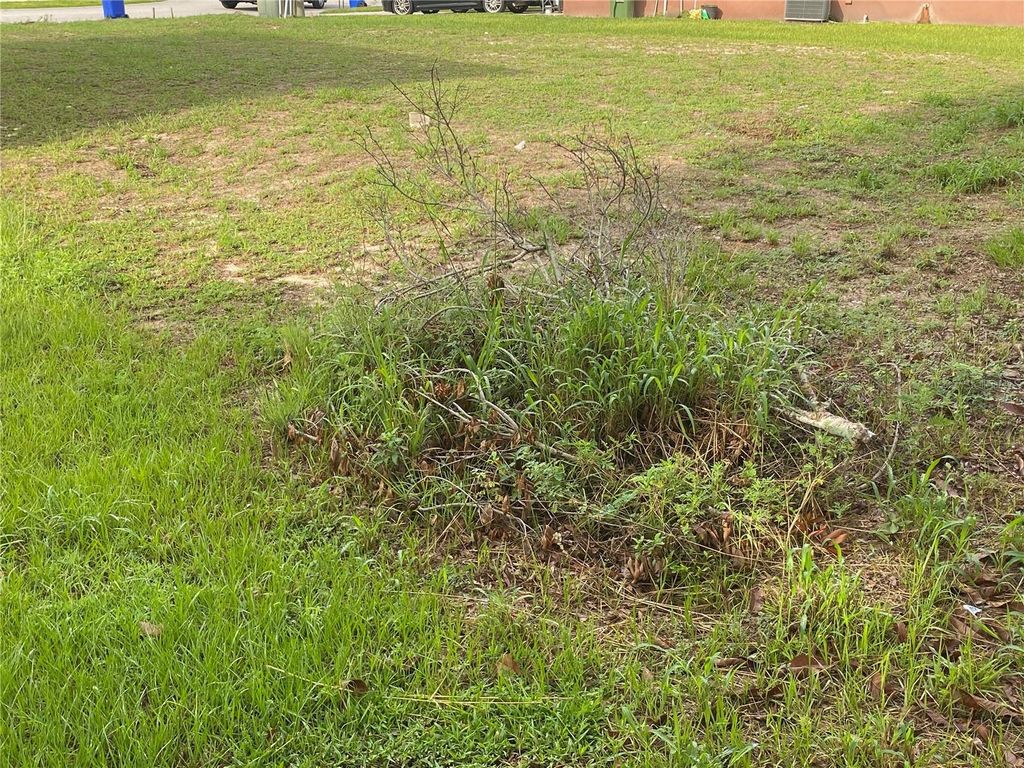 Photo of 1304 Salisbury Drive, Winter Haven, FL 33881 (MLS # S5107136)