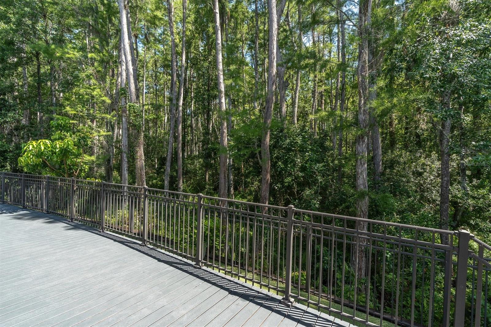 GREY HAWK AT LAKE POLO PH 02 - Residential