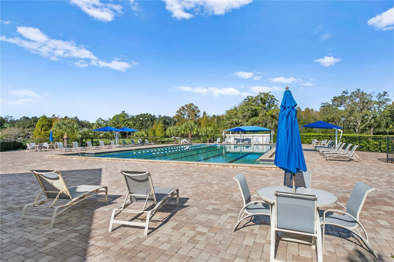 TAMPA PALMS - Residential