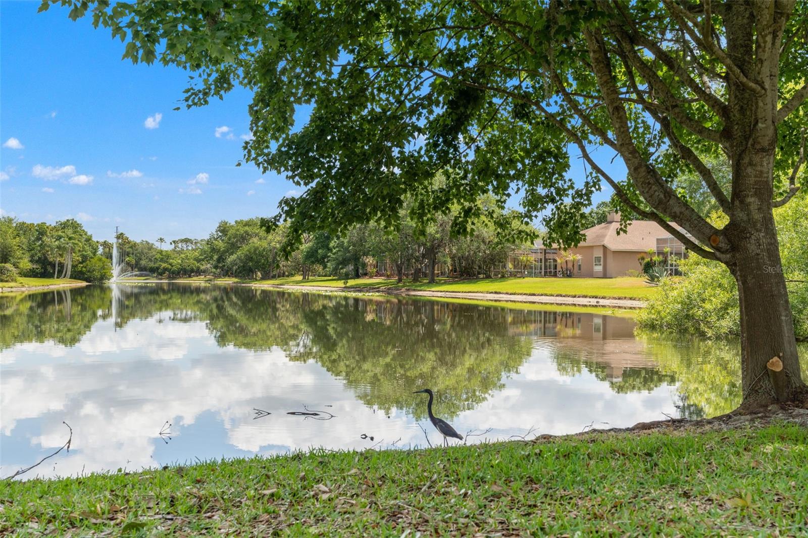 TAMPA PALMS - Residential