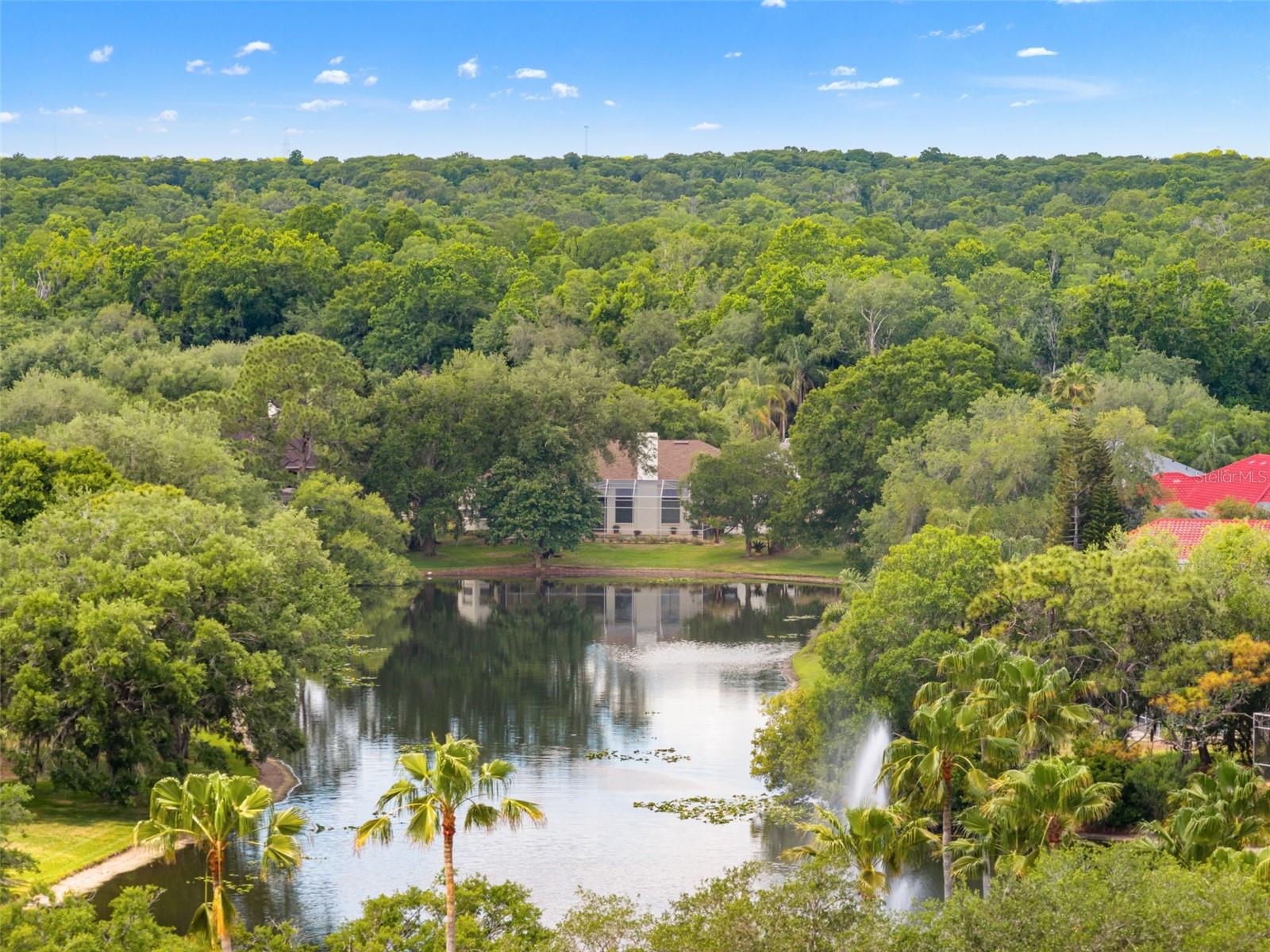 TAMPA PALMS - Residential