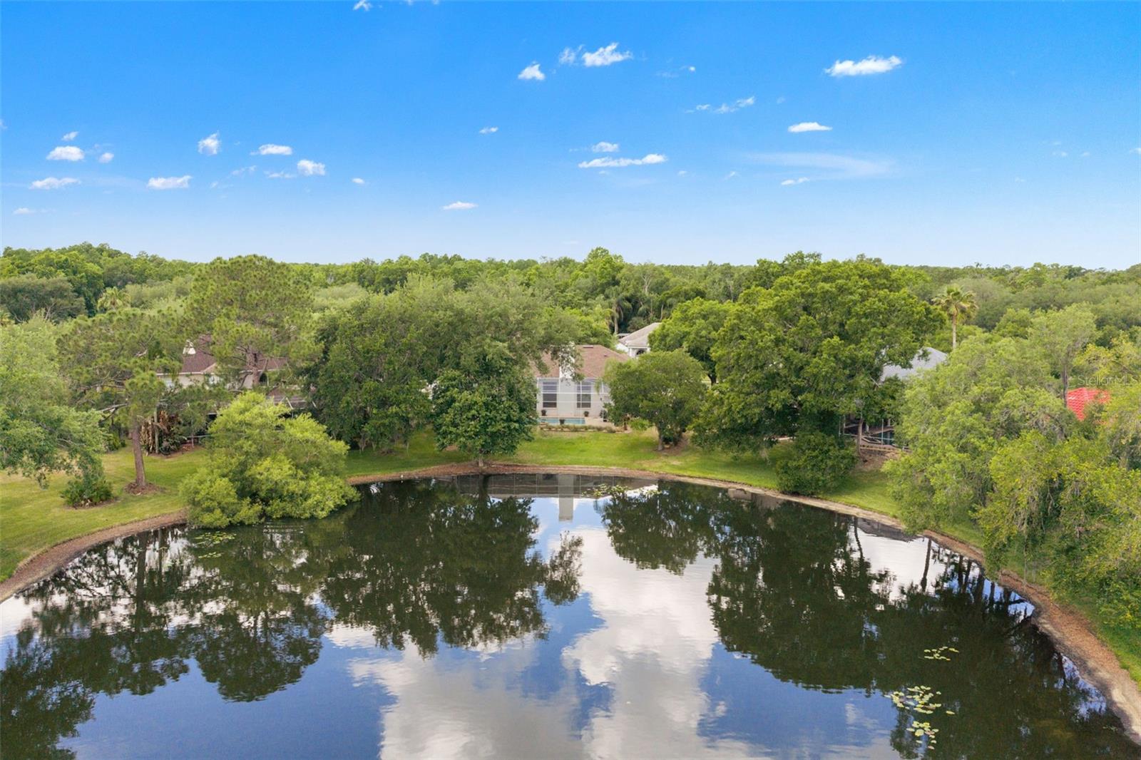 TAMPA PALMS - Residential