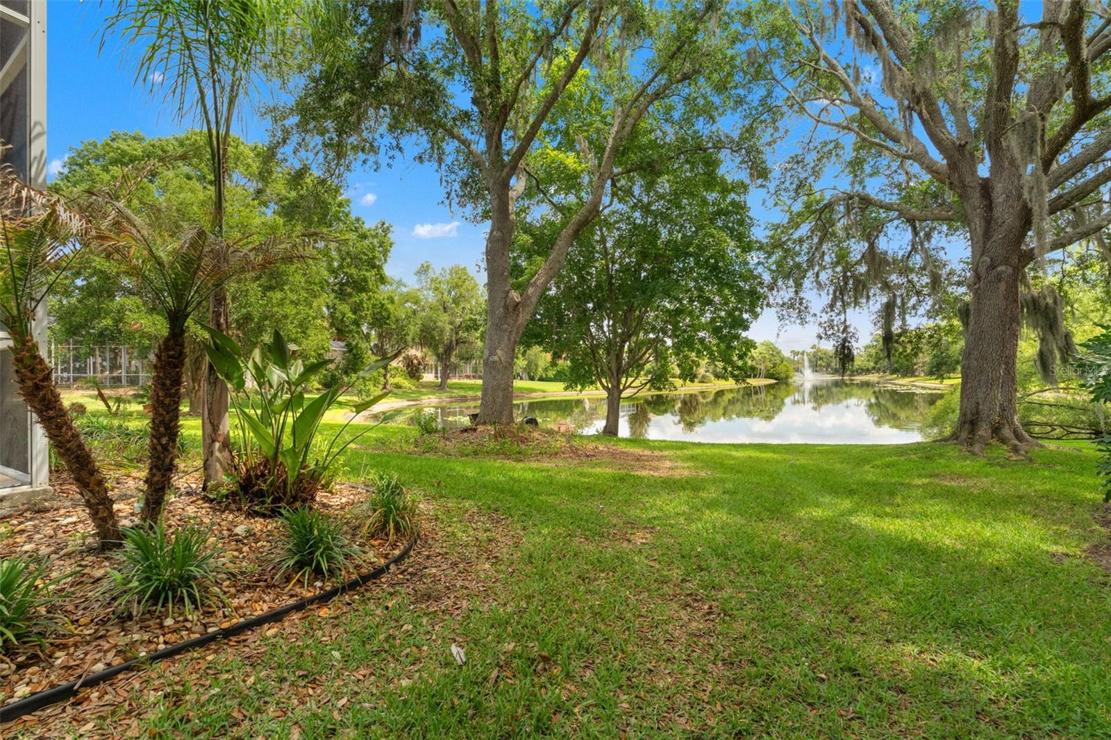 TAMPA PALMS - Residential