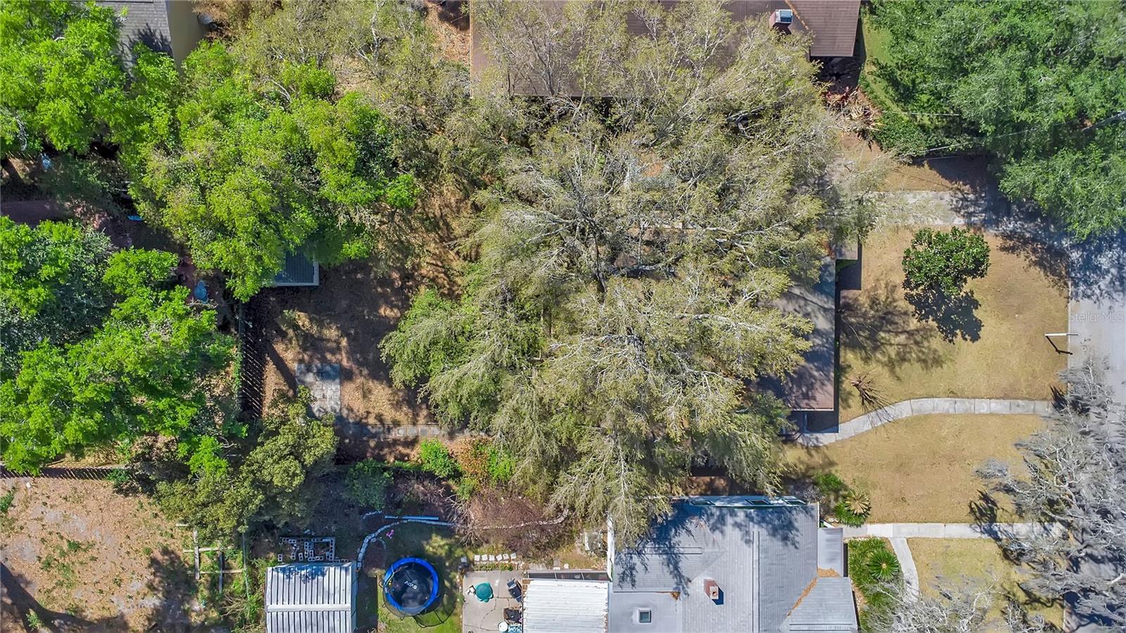 ROSARDEN REP - Residential