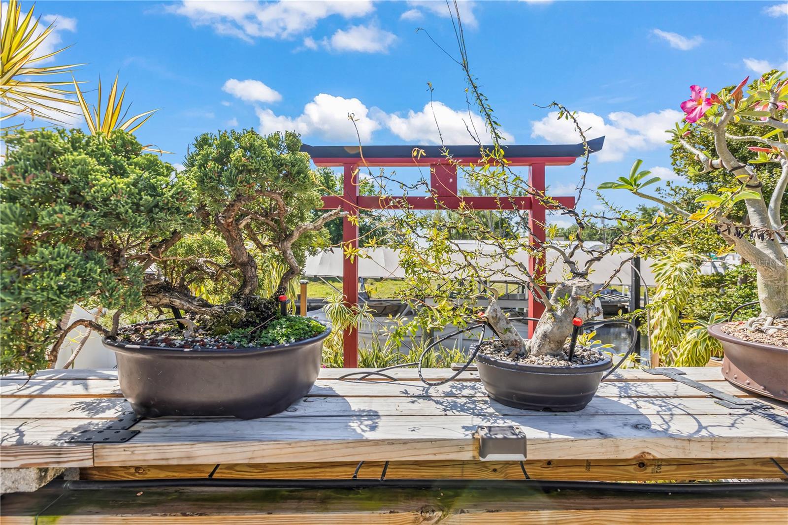 RIVERDALE REV - Residential