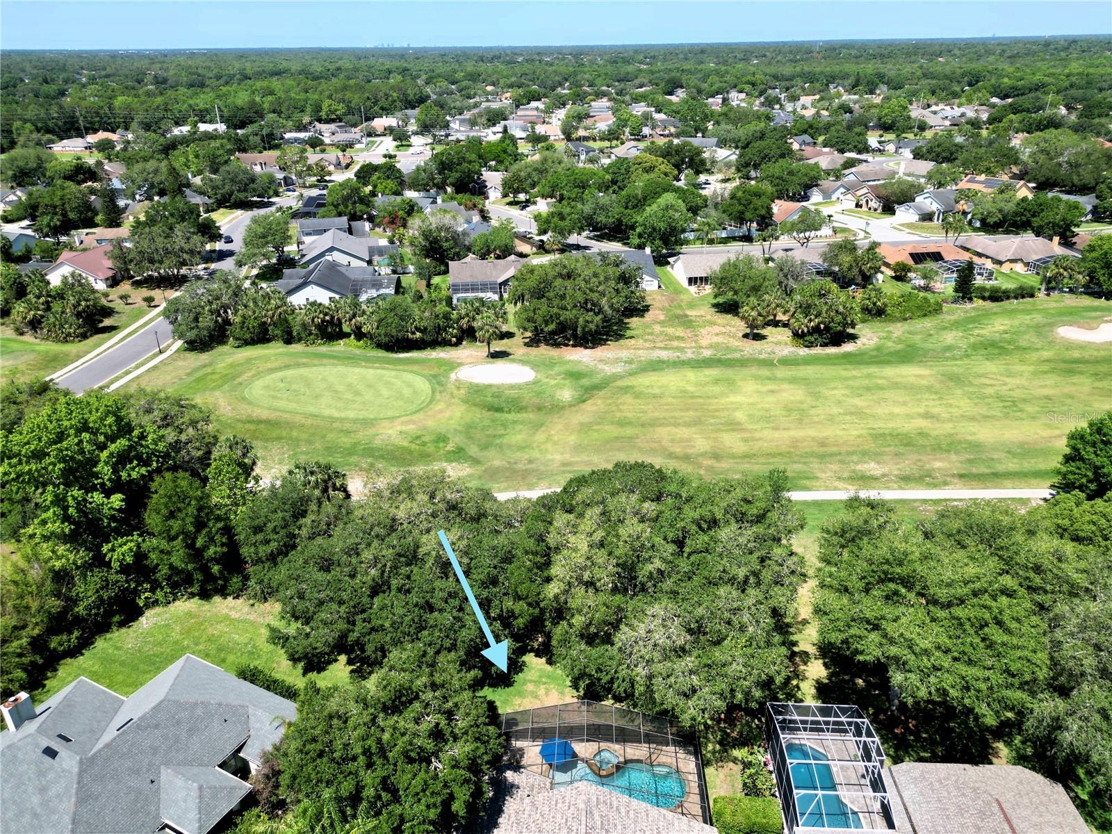 1969 CRYSTAL DOWNS COURT