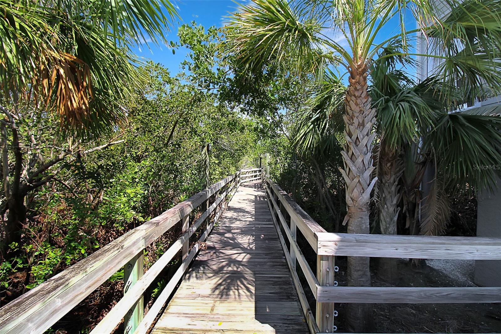 CEDARS EAST SEC 2 - Residential Lease