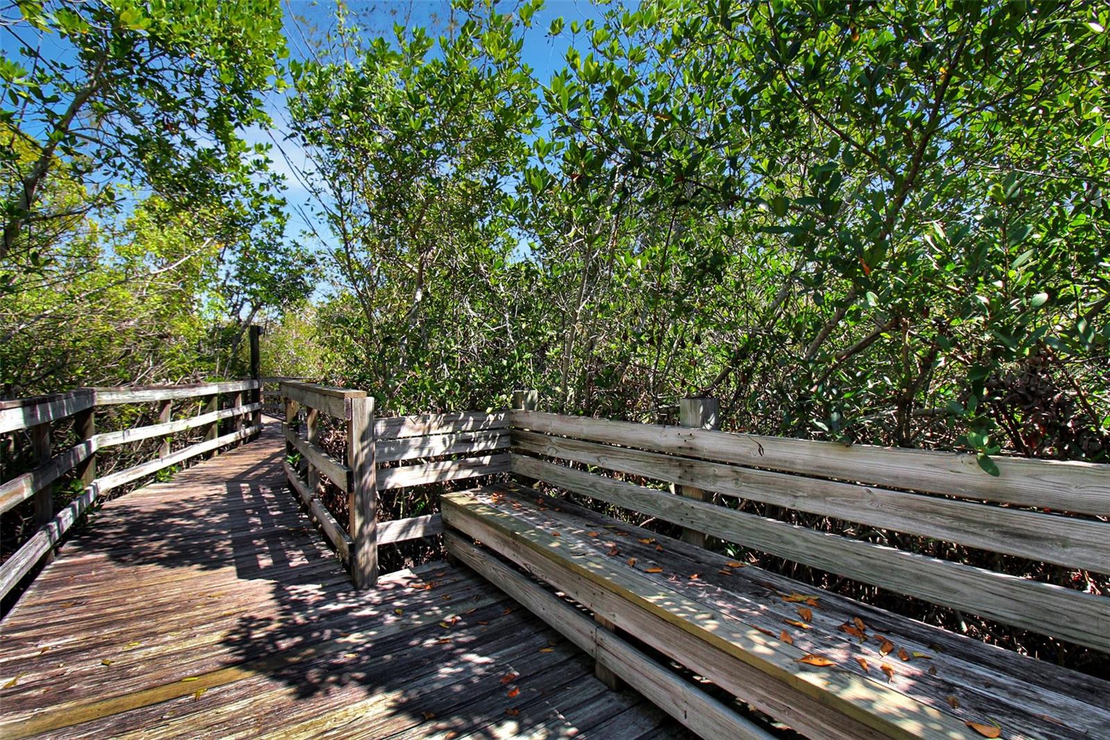 CEDARS EAST SEC 2 - Residential Lease