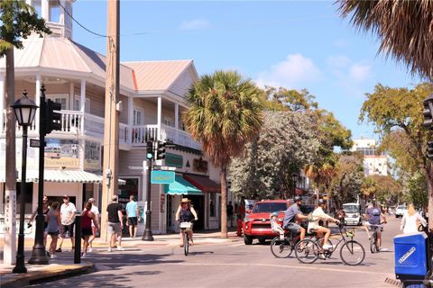 A home in MOUNT DORA