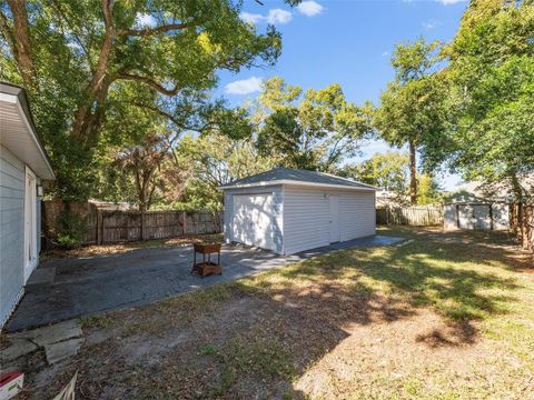 A home in MOUNT DORA