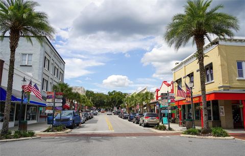 A home in MOUNT DORA