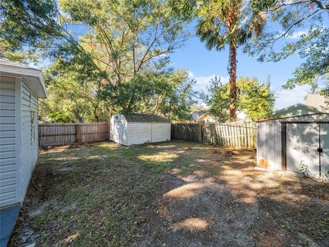 A home in MOUNT DORA