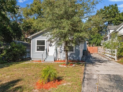 A home in MOUNT DORA