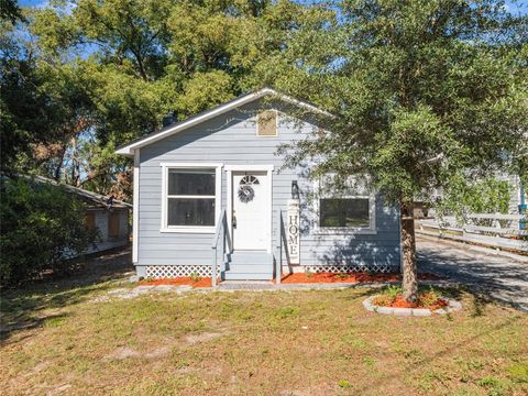 A home in MOUNT DORA