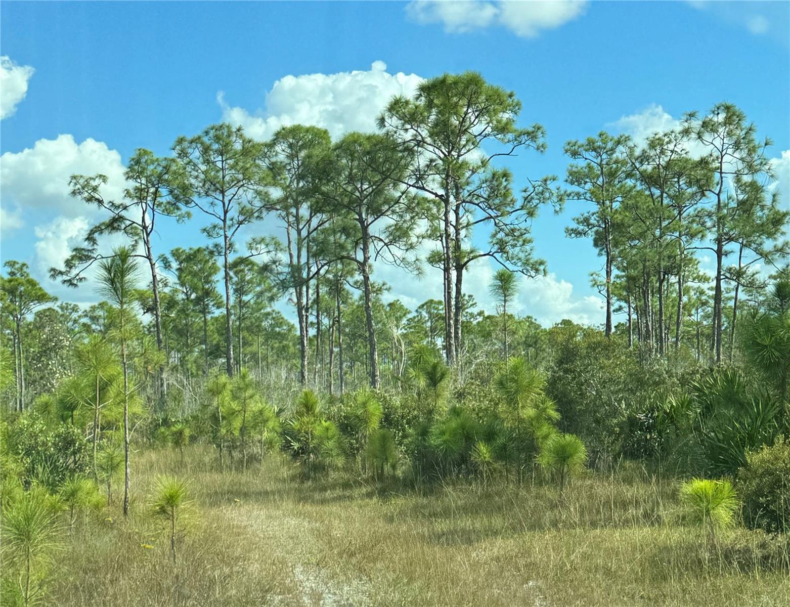 NOW IS YOUR CHANCE TO PURCHASE 80 ACRES OF LAND IN THE HIGHLY SOUGHT AFTER AREA OF BURNT STORE ROAD. THIS PROPERTY IS LOCATED ON THE SOUTH BORDER OF CHARLOTTE COUNTY IN THE RADIPIDLY DEVELOPING AREA JUST NORTHEAST OF BURNT STORE MARINA. IT IS SET BACK FROM BURNT STORE ROAD AND SITS ON THE BORDER OF LEE COUNTY. THE ADJACENT 80 ACRE PARCEL ALONG THE EAST SIDE OF THIS PROPERTY IS ALSO FOR SALE WHICH PRESENTS THE OPPORTUNITY TO PURCHASE A TOTAL OF 160 ACRES CREATING ENDLESS OPPORTUNITIES!