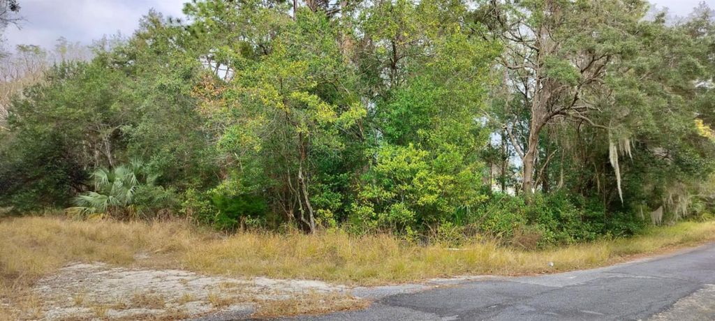 Photo of 965 S Sally Terrace, Inverness, FL 34452 (MLS # TB8330450)