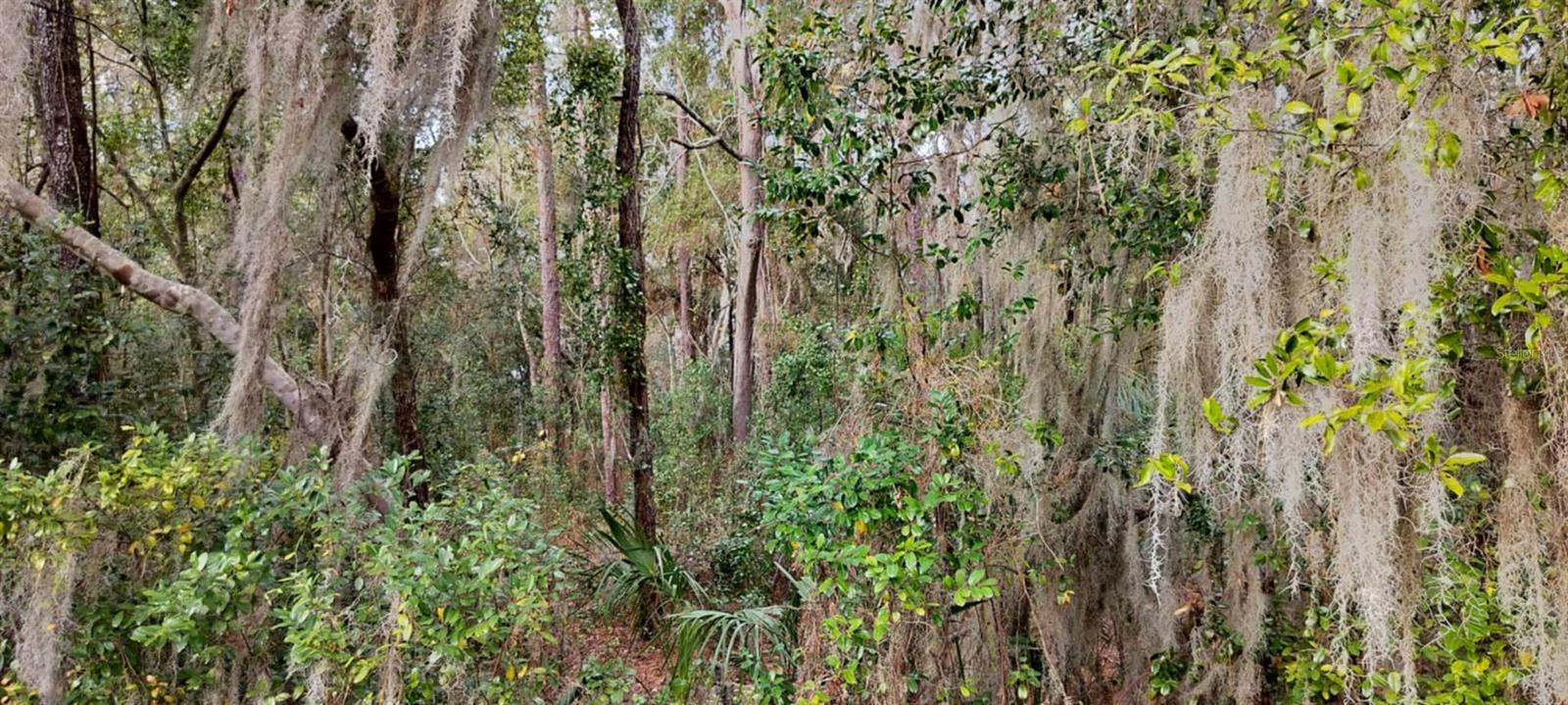 INVERNESS HIGHLANDS UNIT 09 - Land