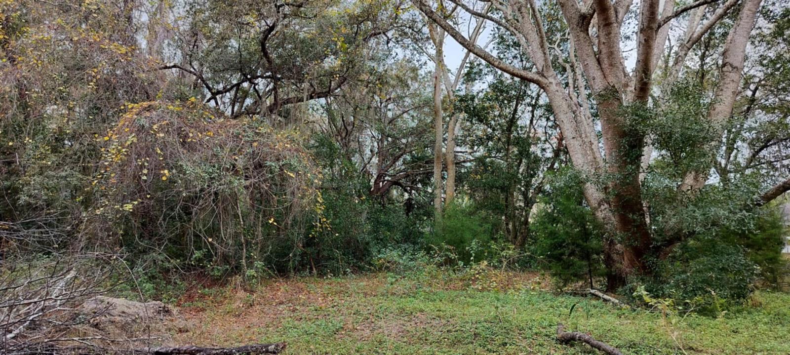 INVERNESS HIGHLANDS UNIT 09 - Land