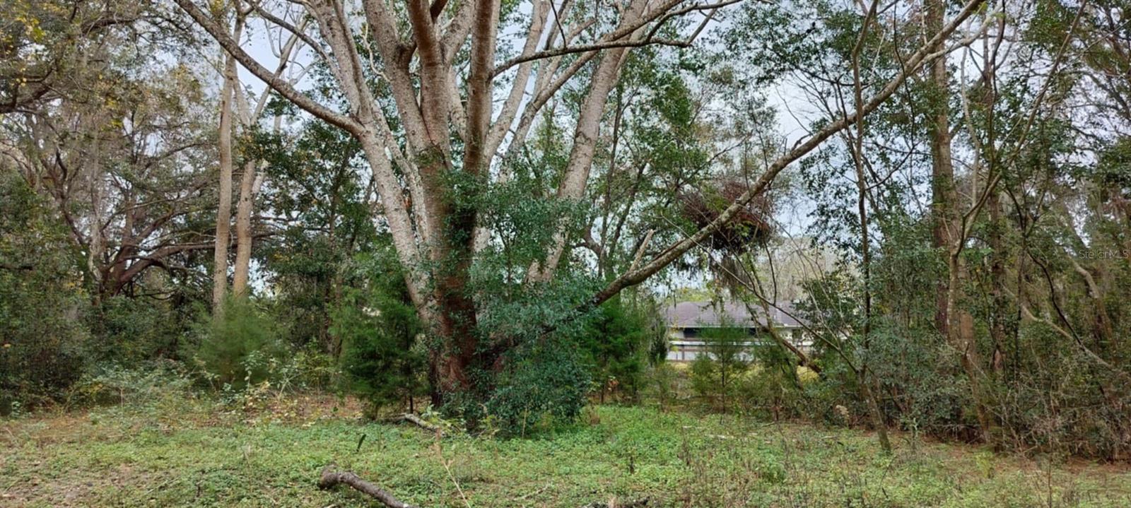 INVERNESS HIGHLANDS UNIT 09 - Land