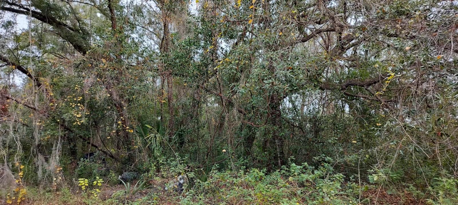 INVERNESS HIGHLANDS UNIT 09 - Land