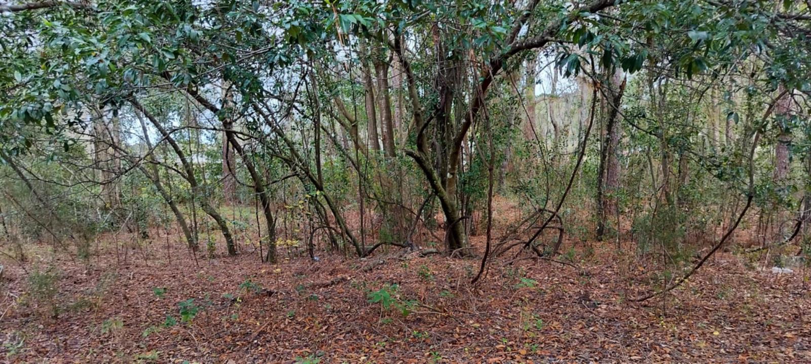 INVERNESS HIGHLANDS UNIT 09 - Land