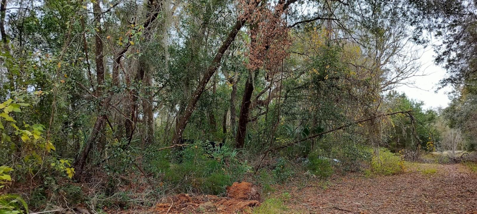 INVERNESS HIGHLANDS UNIT 09 - Land