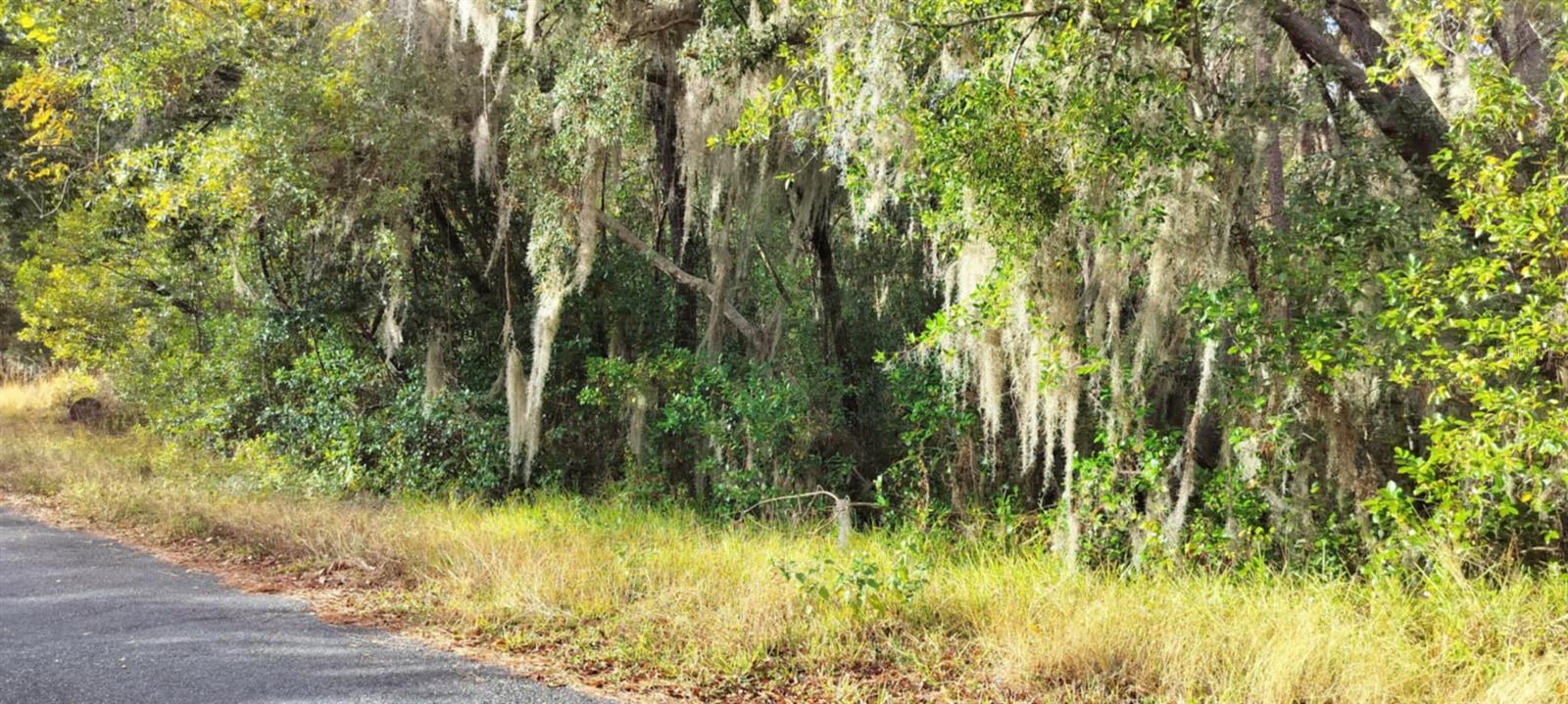 INVERNESS HIGHLANDS UNIT 09 - Land