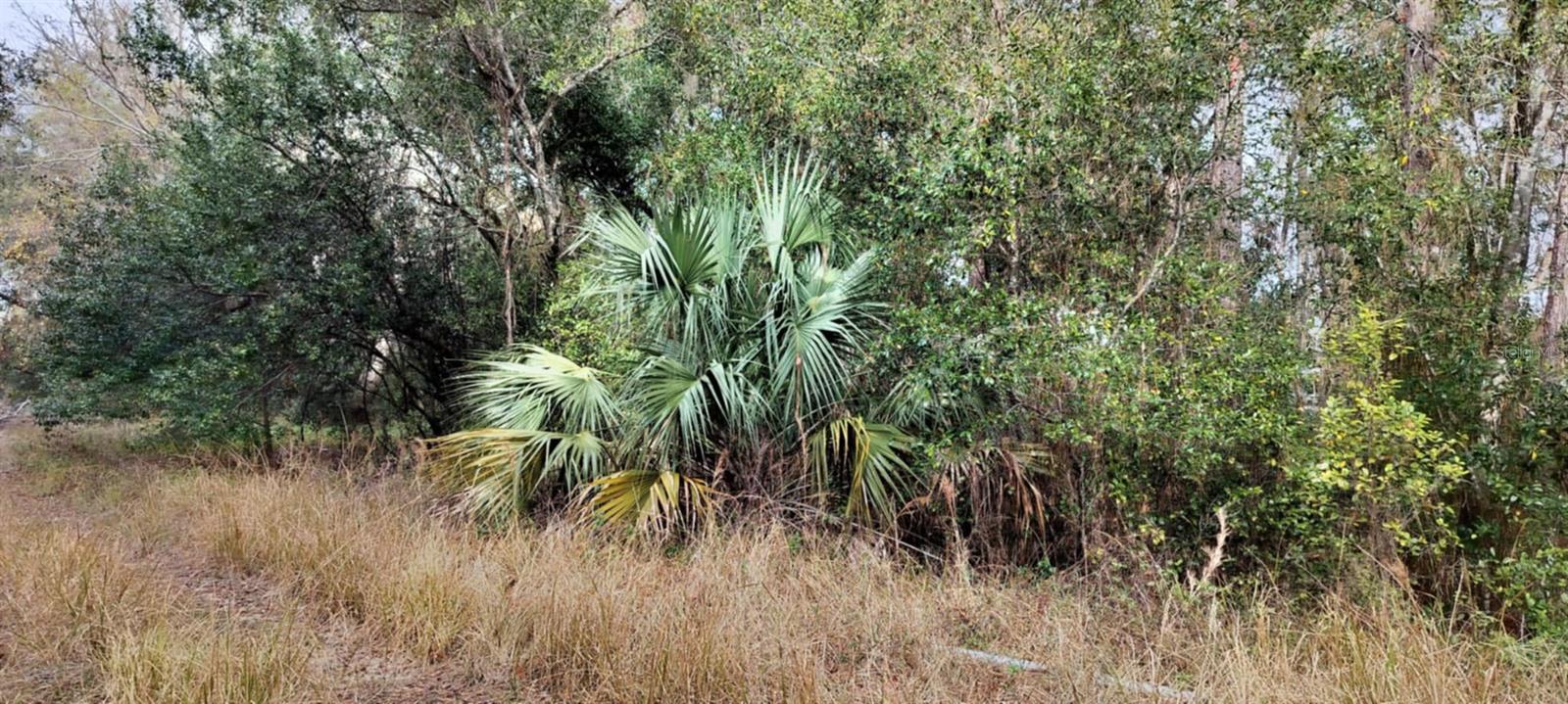 INVERNESS HIGHLANDS UNIT 09 - Land