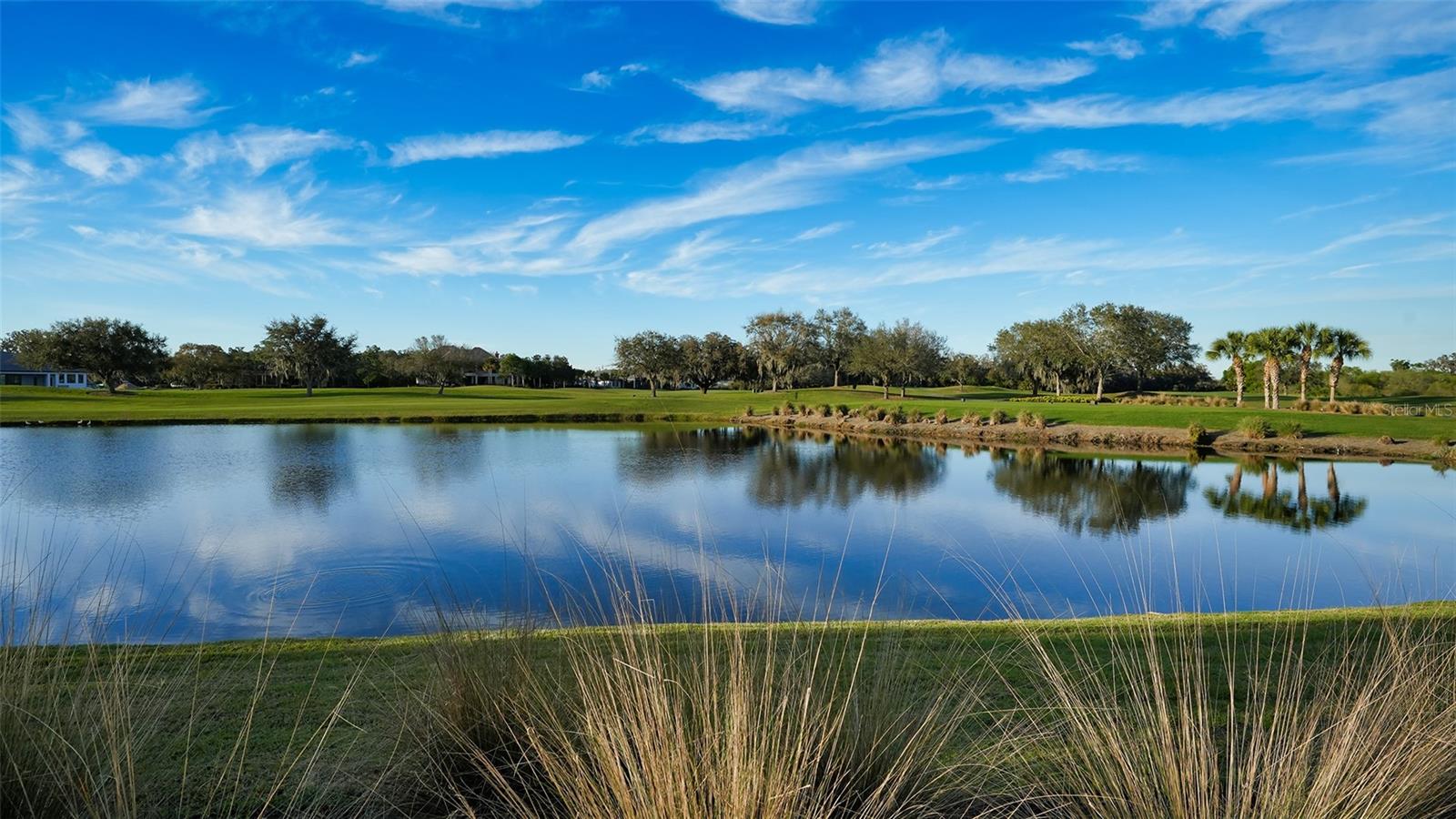 FOUNDERS CLUB - Residential