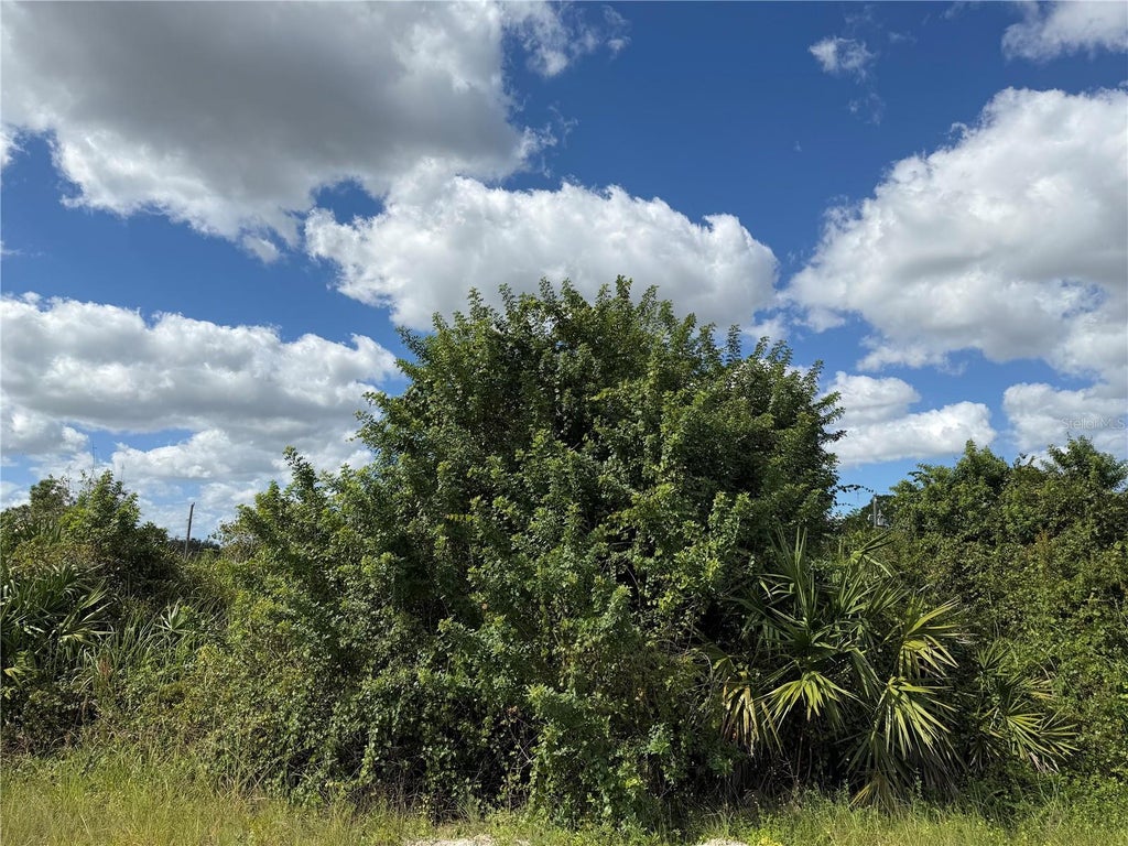 Photo of 1209 Plumosa Avenue #3, Lehigh Acres, FL 33972 (MLS # TB8560347)