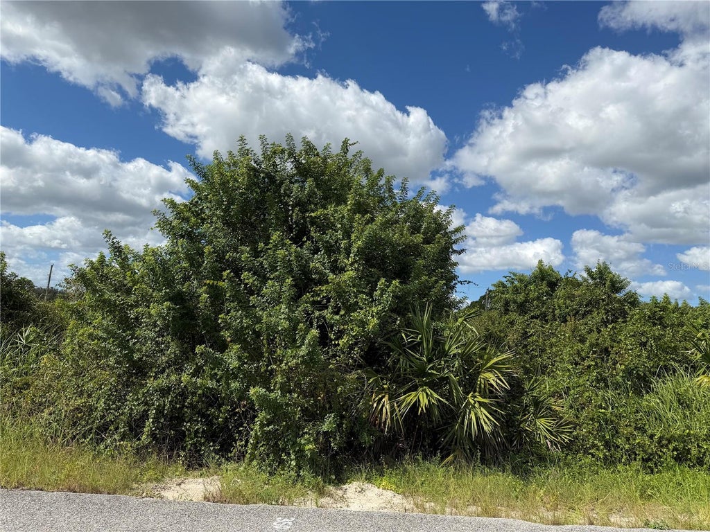 Photo of 1209 Plumosa Avenue #3, Lehigh Acres, FL 33972 (MLS # TB8560347)