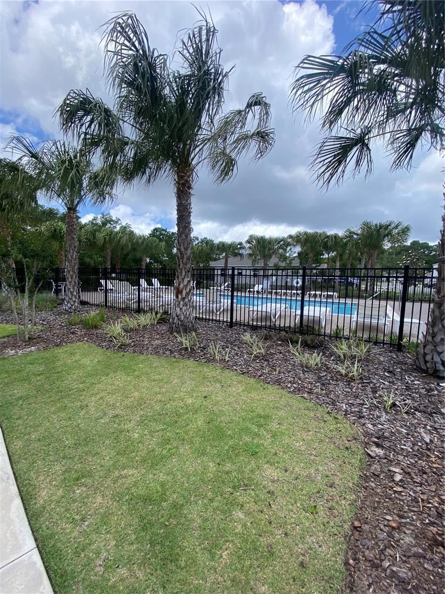 CANOPY TERRACE - Residential