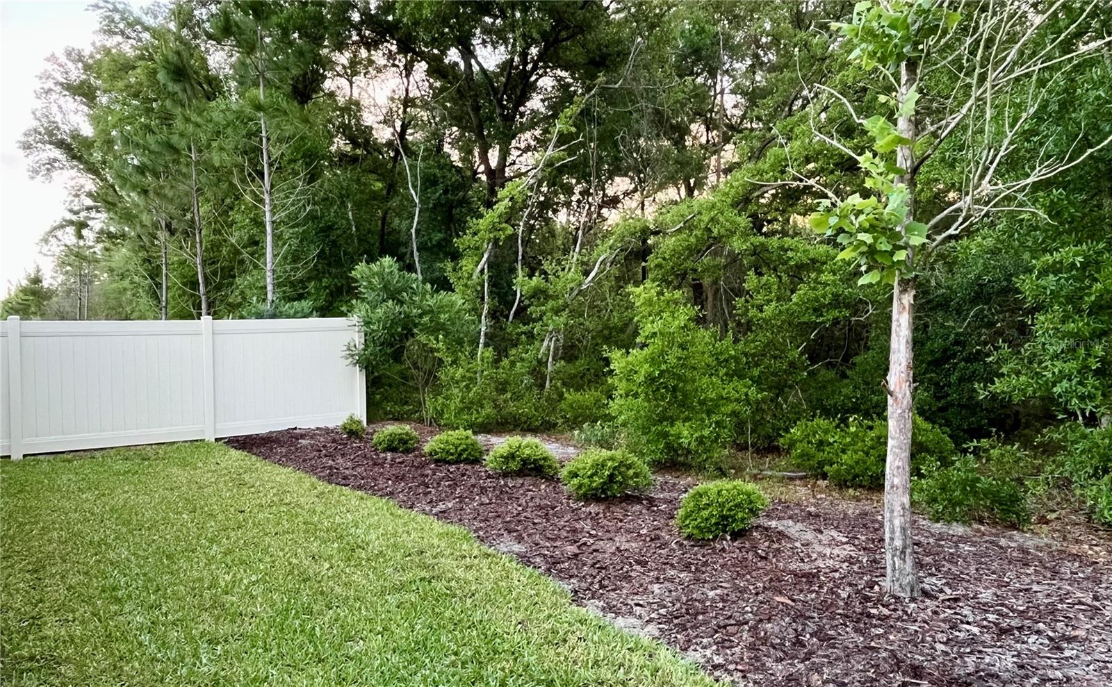 CANOPY TERRACE - Residential