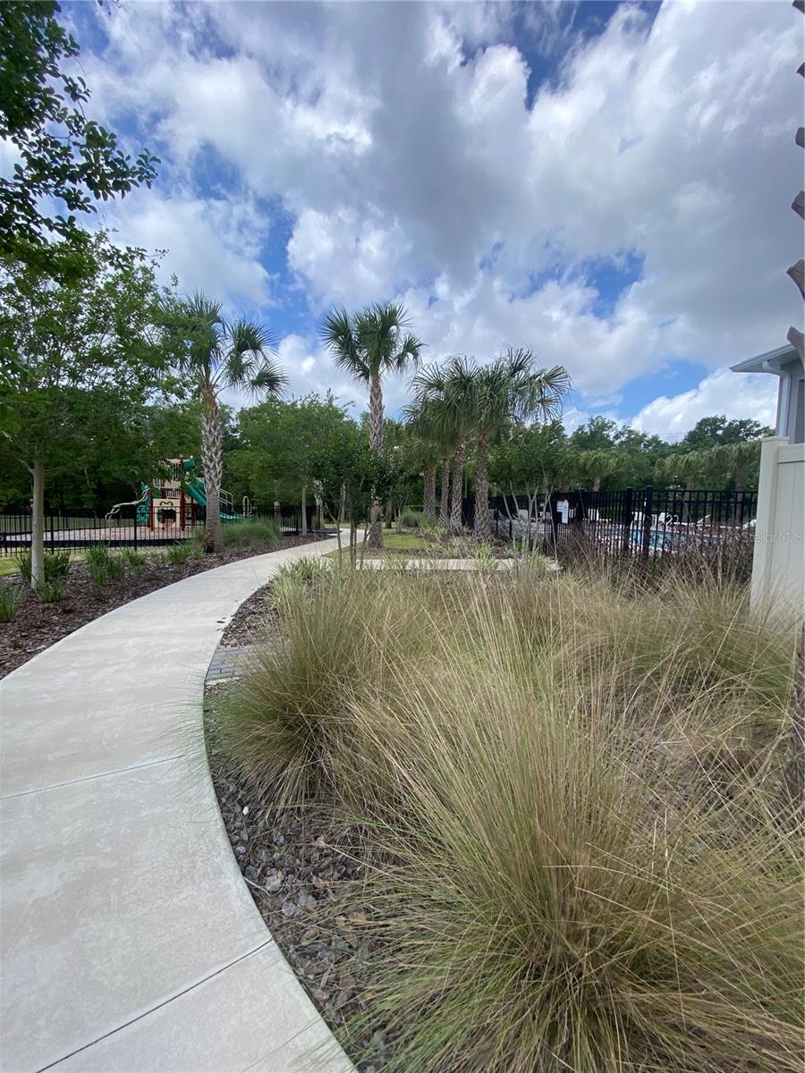 CANOPY TERRACE - Residential