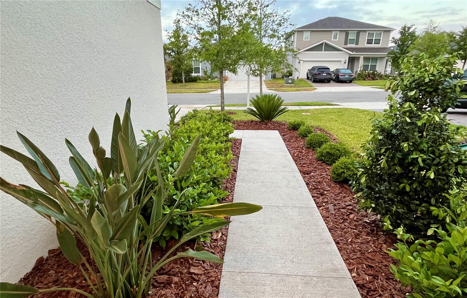 CANOPY TERRACE - Residential