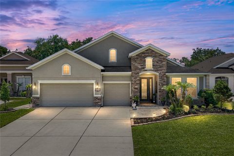 Photo of 34530 Heavenly Lane, Dade City, FL 33525 (MLS # TB8507425)