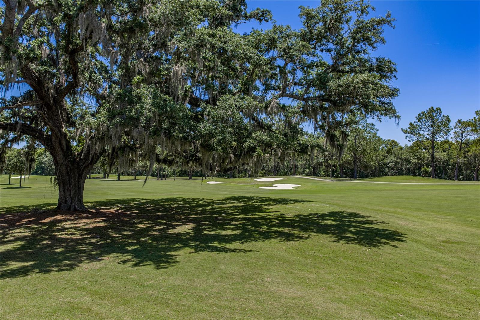 LAKE JOVITA GOLF & CC PH 4-C - Residential