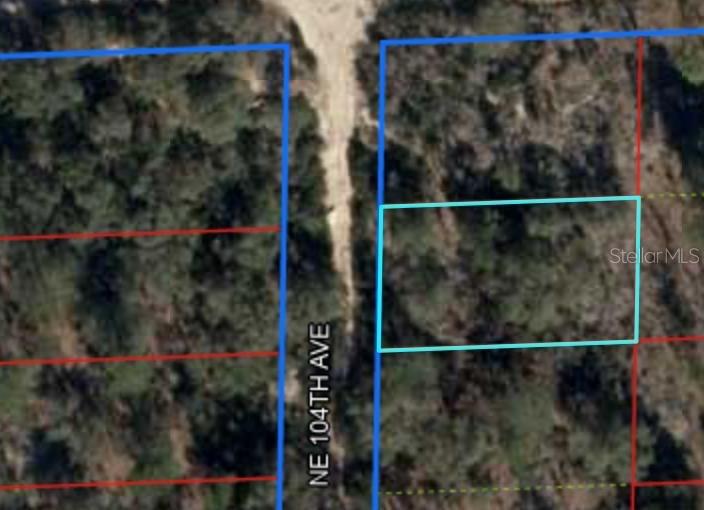 Perfect .23 acre lot located In Levy County for only $8,000. Own your own little slice of heaven in the beautiful Bronson area , minutes to several local crystal clear springs and awesome dining and shopping options. Call today or take a ride out to see this gem!