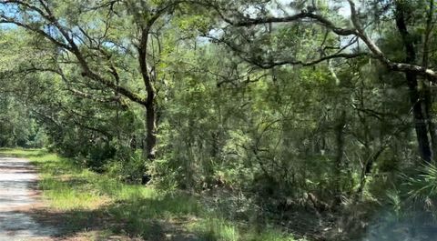 0 SE PELICAN ROAD BRANFORD FL 32008